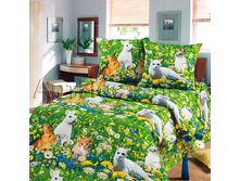 ��������� ������ ����.jpg