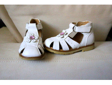 ���� ��������� 26 ������ 650 ������