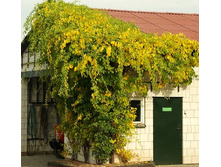 ���������� ������������� �������� (V2-3�.) (�������) (����� �����-�������).jpg