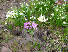 P1050008.JPG�����������