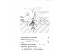 ������� ��������2.jpg