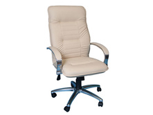 ������ ����� 1X.jpg