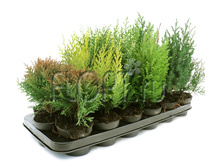 �������� ���� 9�20. 84 ���.jpg