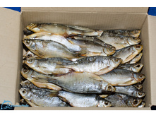 ����������� �������.jpg