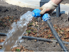 5706b3ce4f8a9 1397114200.jpg