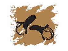 137 ���. ������� ����� ��������