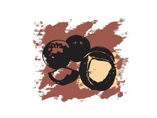 166 ���. ��������� �����