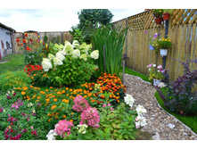 55e4388093220 dsc0957.JPG