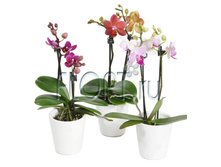 ���������� ���� ���c 1���. � ����� �������� 6�31. 378 ���.jpg