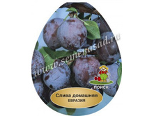 ����� �������.jpg