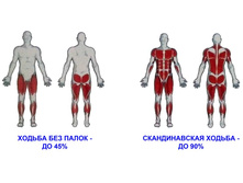 �������� ��������