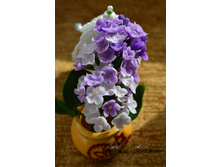 ������� ������ (�������� ������)