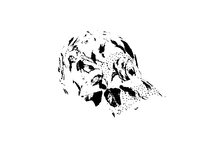 Dis006 ������ 290,0.bmp