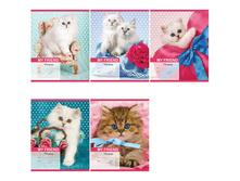 ������� 18�. ����� ���������� � �������� 8,92.jpg