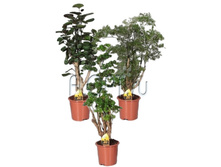 ��������� ���� 17�55. 724,5 ���.jpg