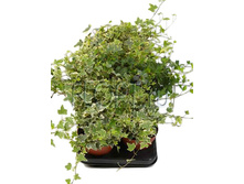 ������ ���� 3��. 13�30. 206,46 ���.jpg