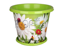 �2413 ������-����� �̣����� 10�. � ���.. 31�25. 217,06 ���.jpg