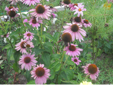 ����� 1022.jpg