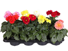 ������� ���� ���� 12�25. 192,15 ���.jpg