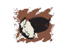 286 ���.�� (������) �����