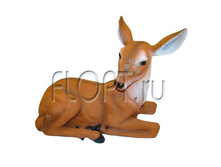 ������ ������, 44x25x32��. 1125 ���.jpg