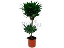 ������� �������� 2���. 17�60. 724,5 ���.jpg