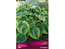 ����� ��������� �� ������.jpg