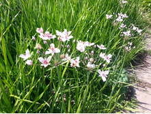 ����� 260�.jpg