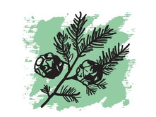 247 ���.������� ����� �������