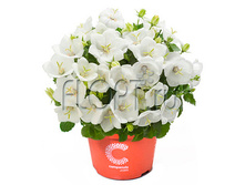 ��������� ��������� ���� ����� 10�22. 189 ���.jpg