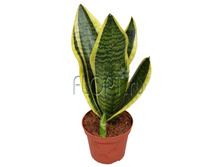 ����������� ������ ������� 11�40. 582,41 ���.jpg