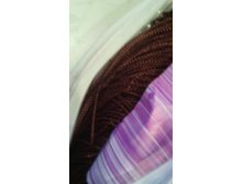 IMG 20160423 161035.jpg