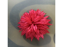 ������ �� �����-120�