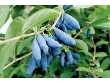 ��������� ���������� ���������.jpg