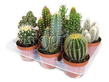 ������ ���� 10�15. 192,15 ���.jpg