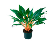 ���������� ���� ����� 13�50. 399 ���.jpg