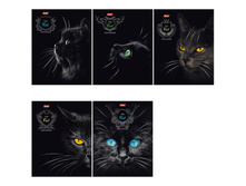 ������� 48�. �5 ������ Royal Cats, ���������� ��� 18,45.jpg