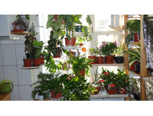 �����.....))