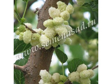 ��������� ����� (V2-3�).jpg