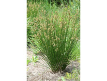 ������ 180�.jpg