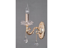 482022601 1870�.jpg