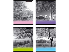 ������� 96�. �5 ������ Nostalgia, ��������� 33,82.jpg