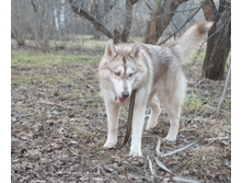 DSC07576.JPG