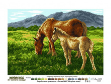 �������� ����� ���.1022