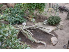 ���������� 1.jpg