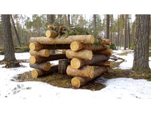 IMG 20160410 105046.jpg