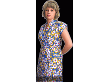 ����� �������� ����.gif