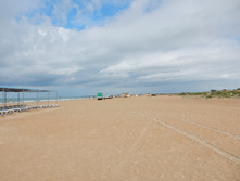 ���� ����, ���� 2015�