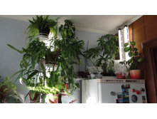 ����� �� ����� .... ��������� �� ��� ...)))))) � ���� ��� ������� !!!!