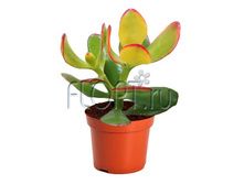 �������� ������ 9�10. 192,77 ���.jpg